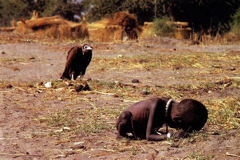 vulture and the girl picture